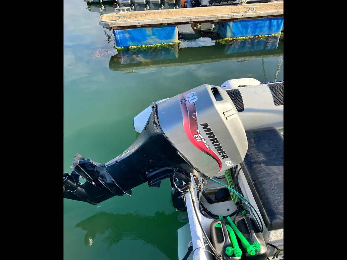 Rib for sale - Image 2