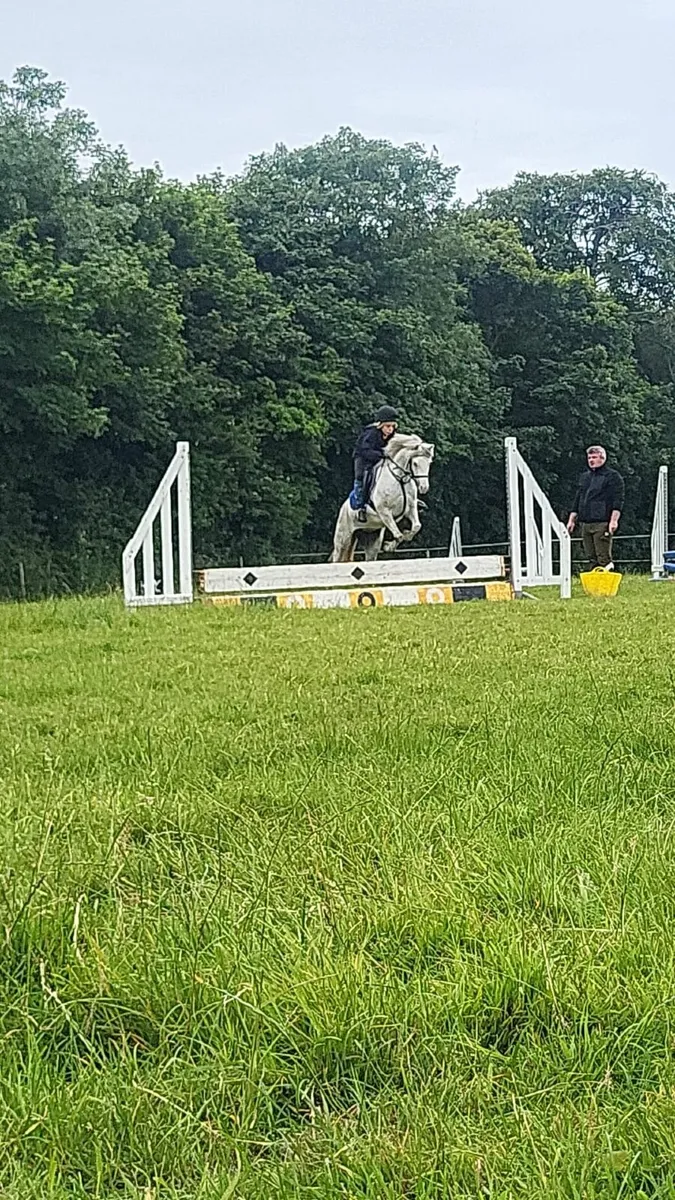Pony - Image 4