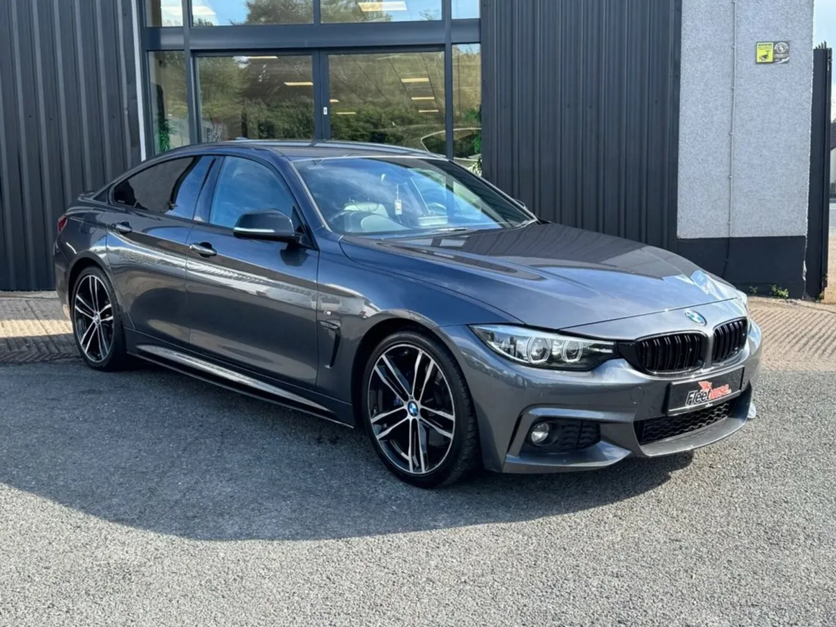2.0 420d M Sport Hatchback 5dr Diesel Auto Euro 6 - Image 1