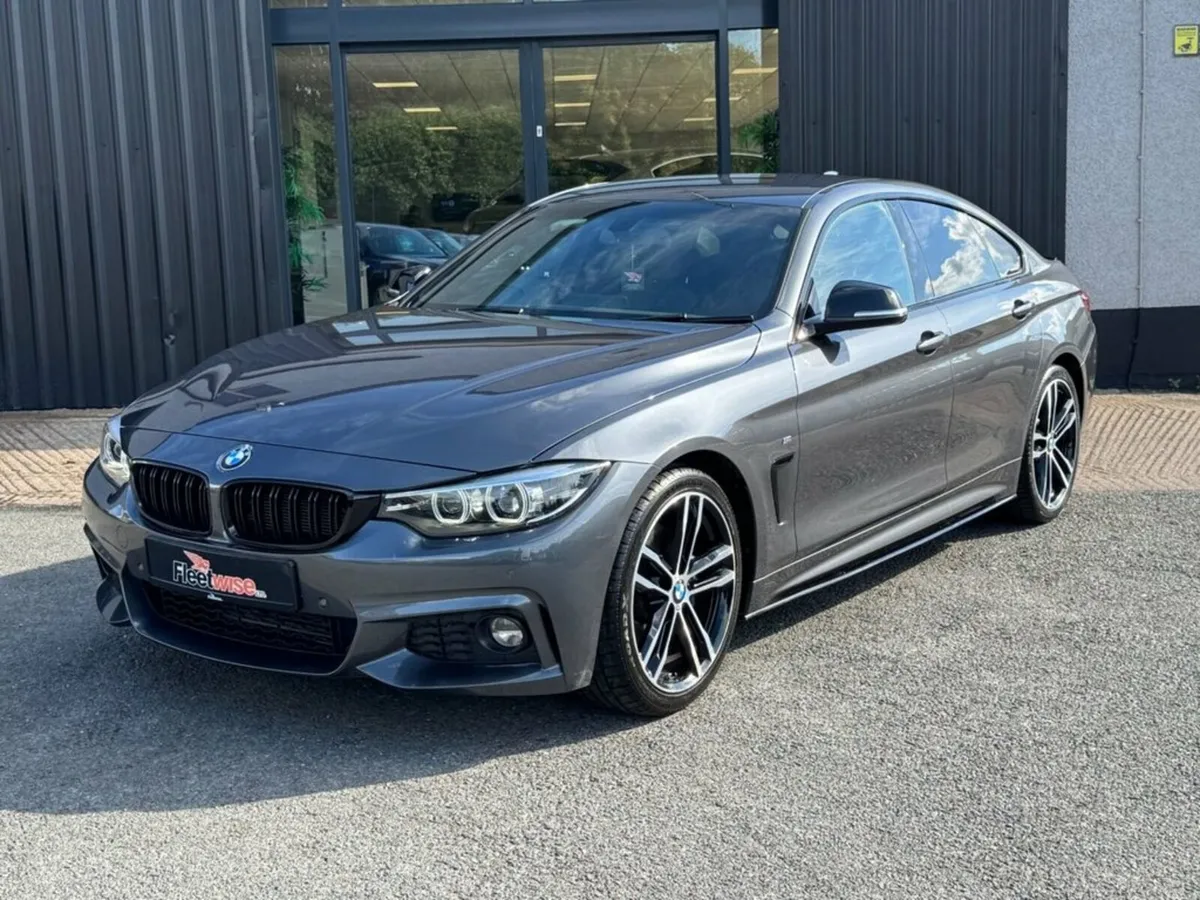2.0 420d M Sport Hatchback 5dr Diesel Auto Euro 6 - Image 3