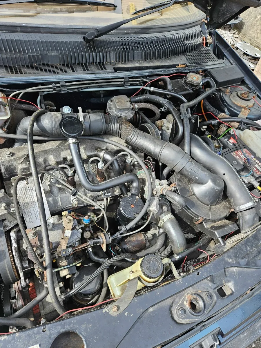 Peugeot  205 stdt uk reg - Image 2