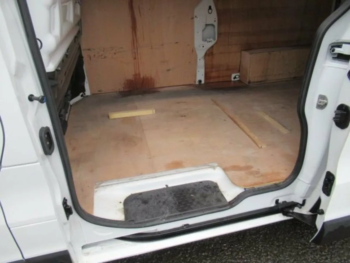 2.0 dCi Blue LL30 Advance Panel Van 5dr Diesel Man - Image 3