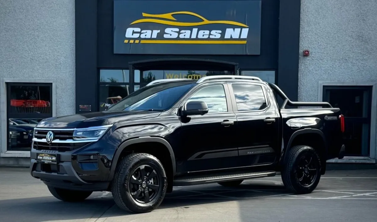 3.0 TDI V6 PanAmericana Pickup Double Cab 4dr Dies - Image 2