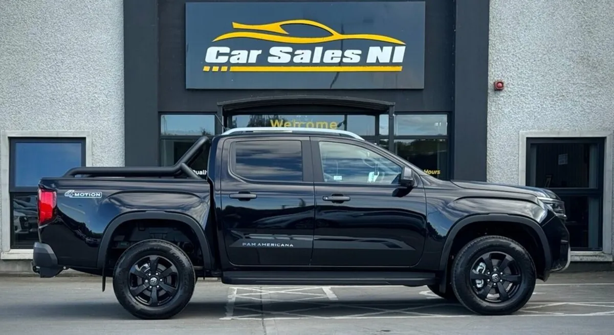 3.0 TDI V6 PanAmericana Pickup Double Cab 4dr Dies - Image 3