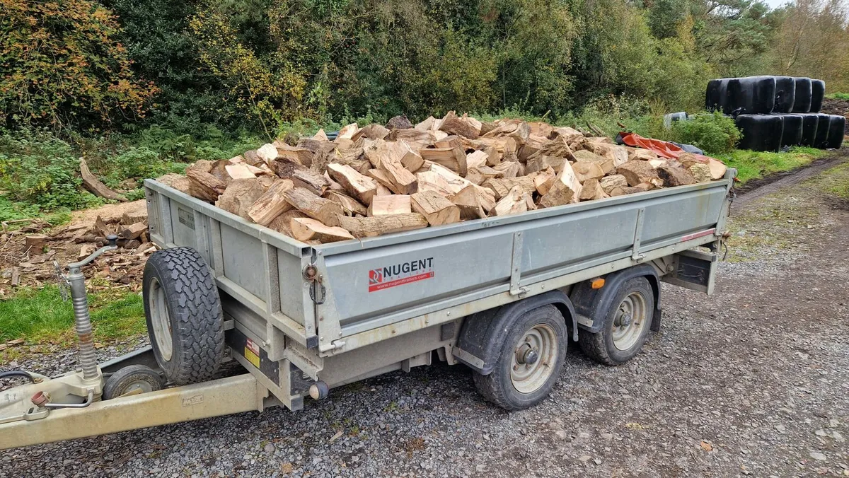 Firewood - Image 1