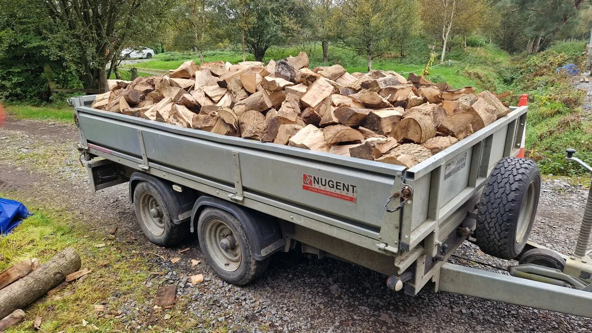 Firewood - Image 2