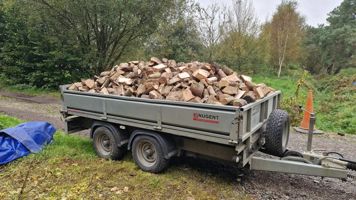 Firewood - Image 3