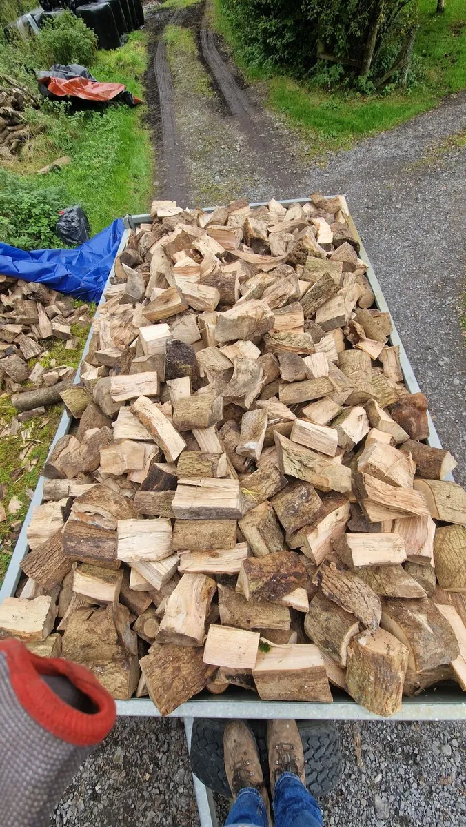 Firewood - Image 4