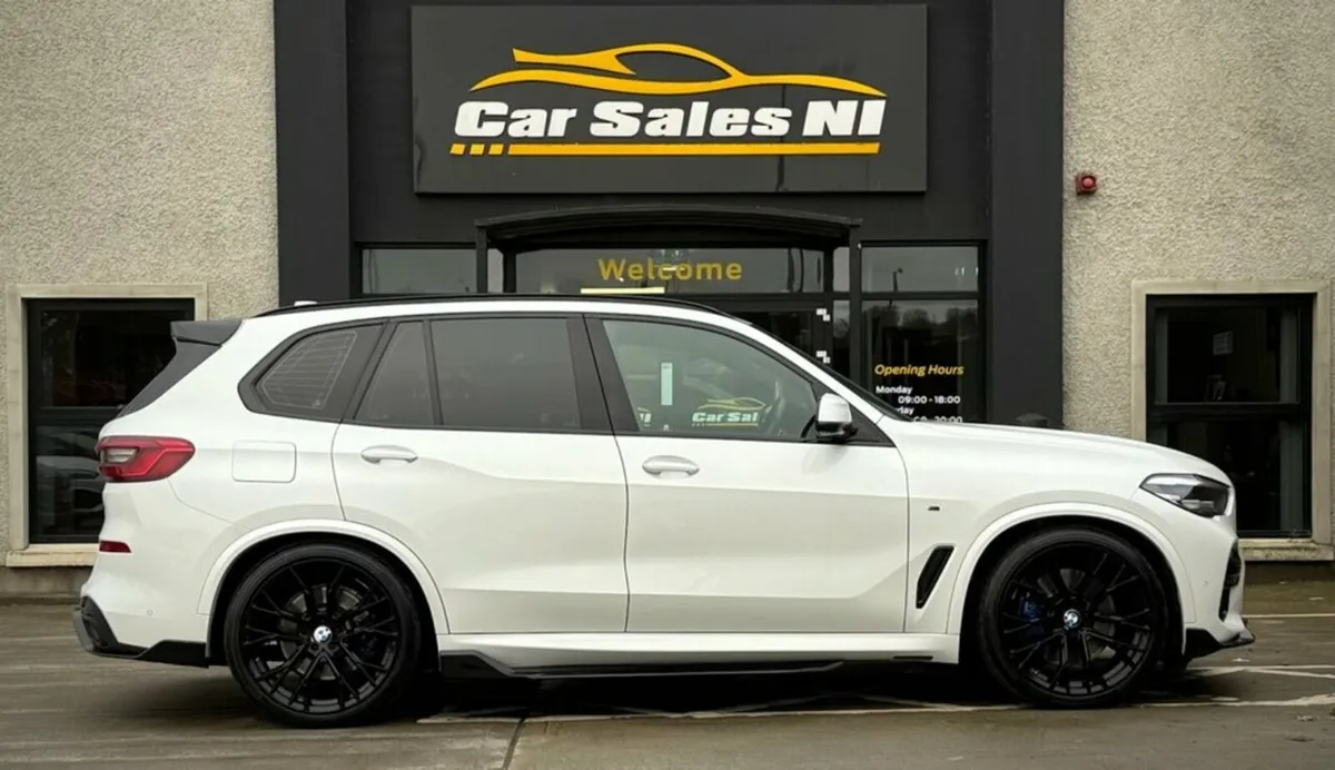 3.0 30d M Sport SUV 5dr Diesel Auto xDrive Euro 6 - Image 3