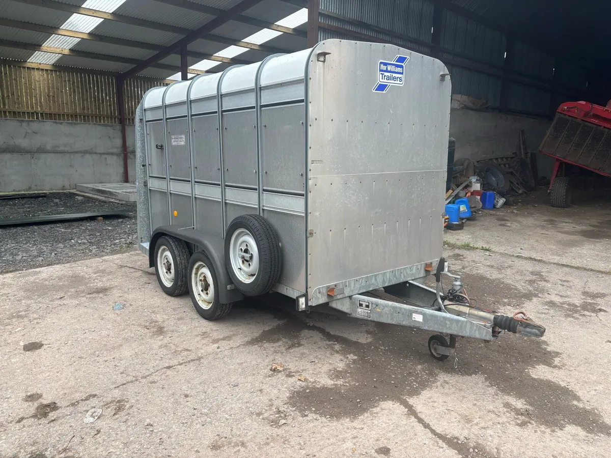 Ifor Williams 10x5 Choice of Two - Image 1