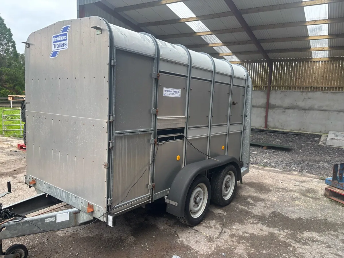 Ifor Williams 10x5 Choice of Two - Image 2