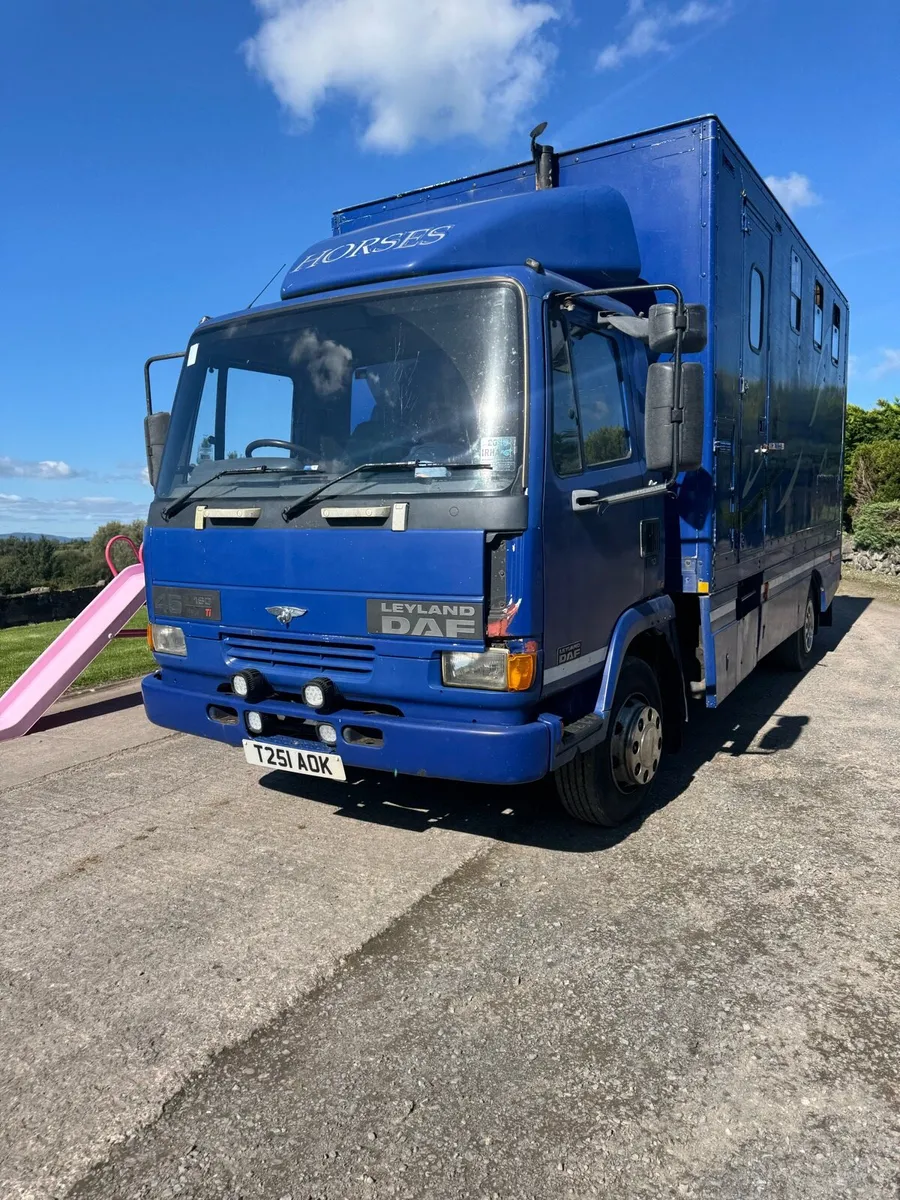 LEYLAND DAF 3 horse lorry - Image 2