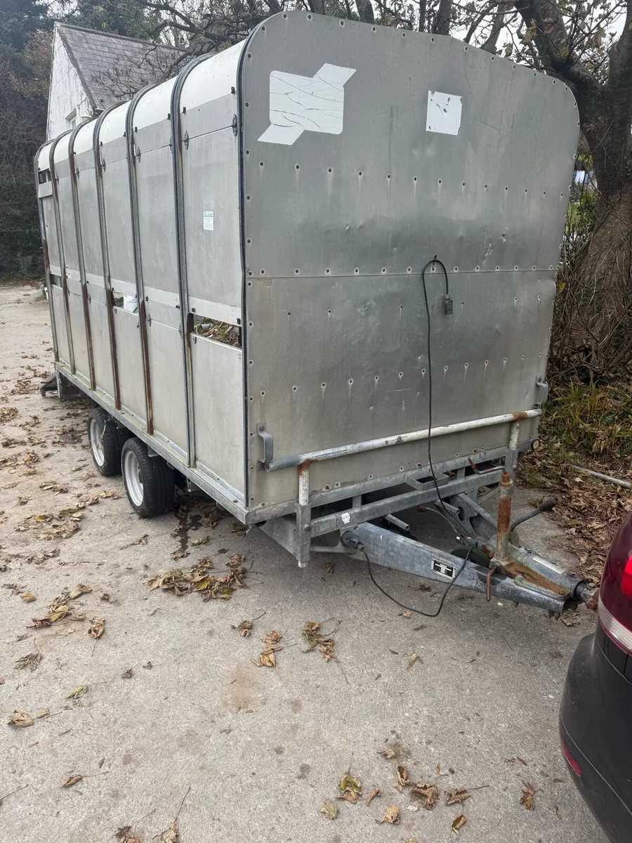 Ifor Williams 12 x 6 box - Image 1
