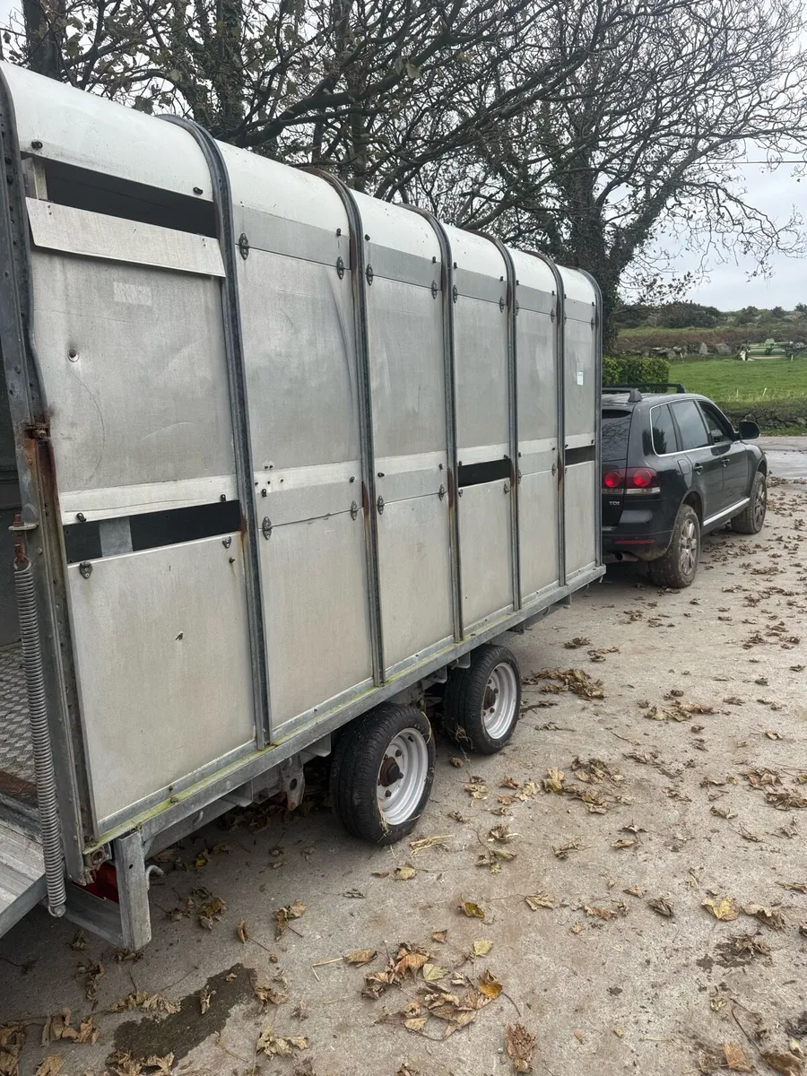 Ifor Williams 12 x 6 box - Image 2