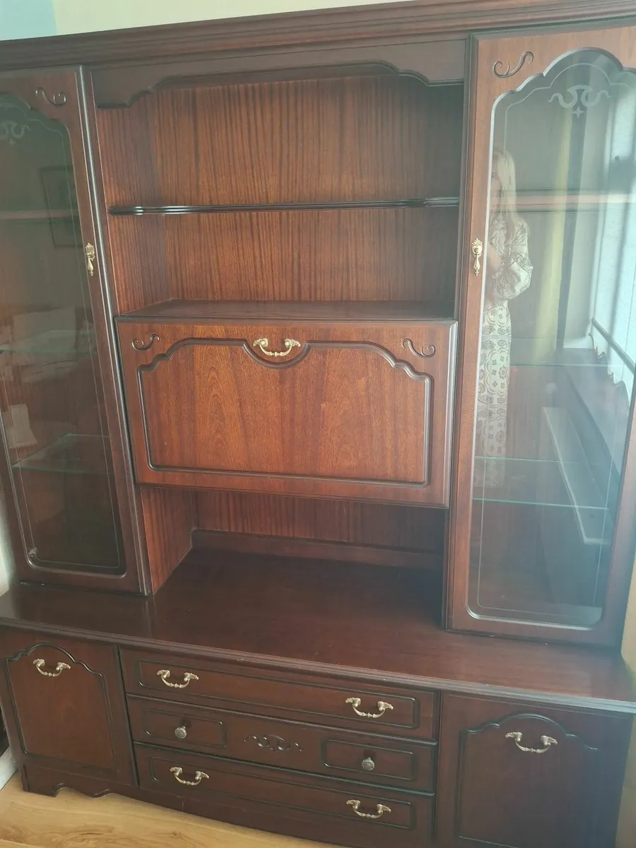Large Unique Drinks/ Display Cabinet