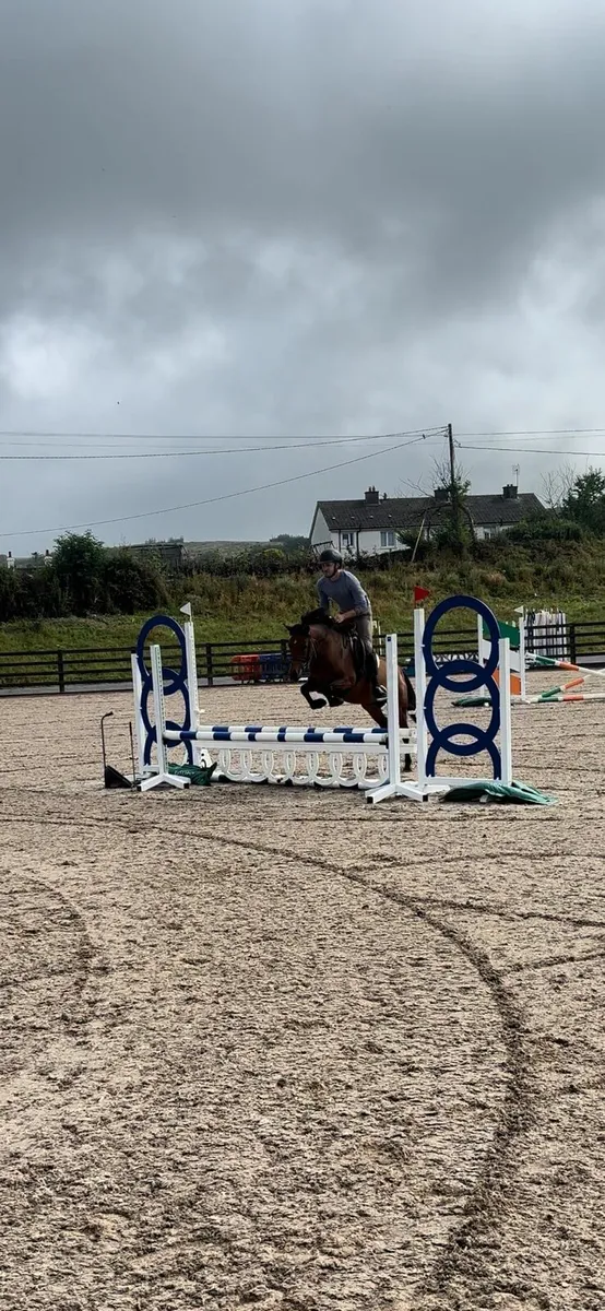 SUPURB 13HH KIDS PONY - Image 2