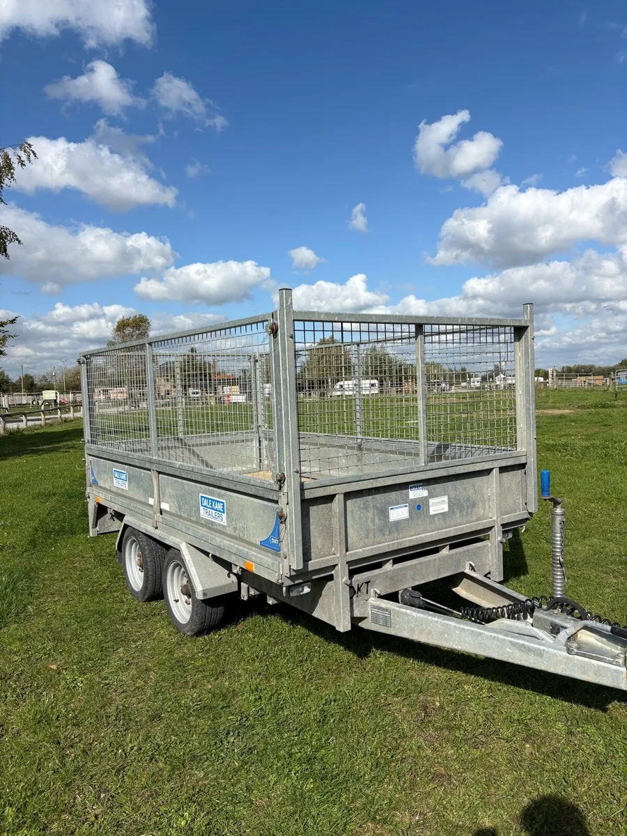 10ft dale kane trailer - Image 1