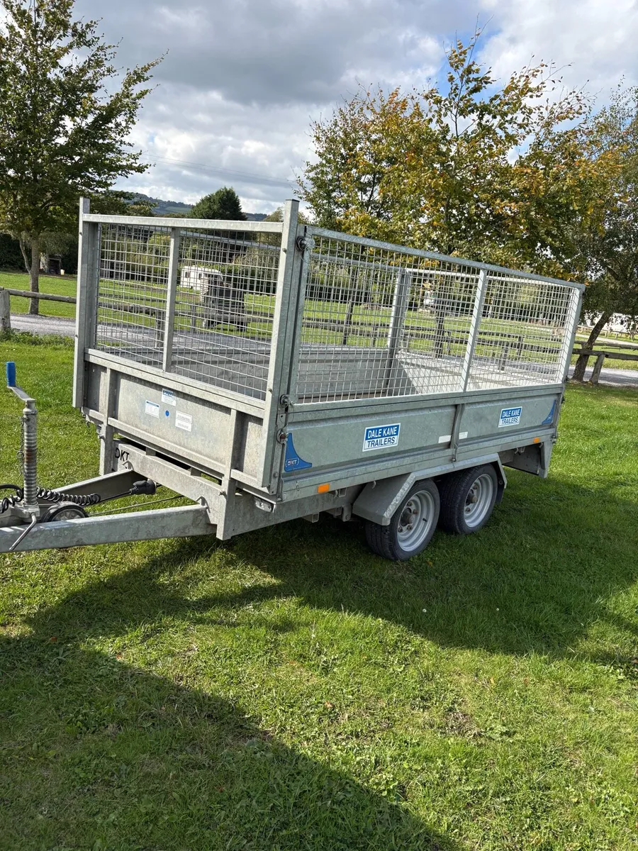 10ft dale kane trailer - Image 3