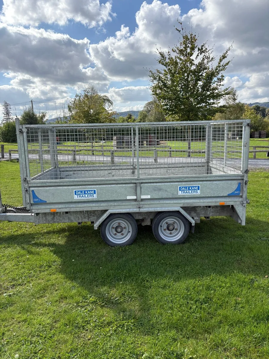 10ft dale kane trailer - Image 4