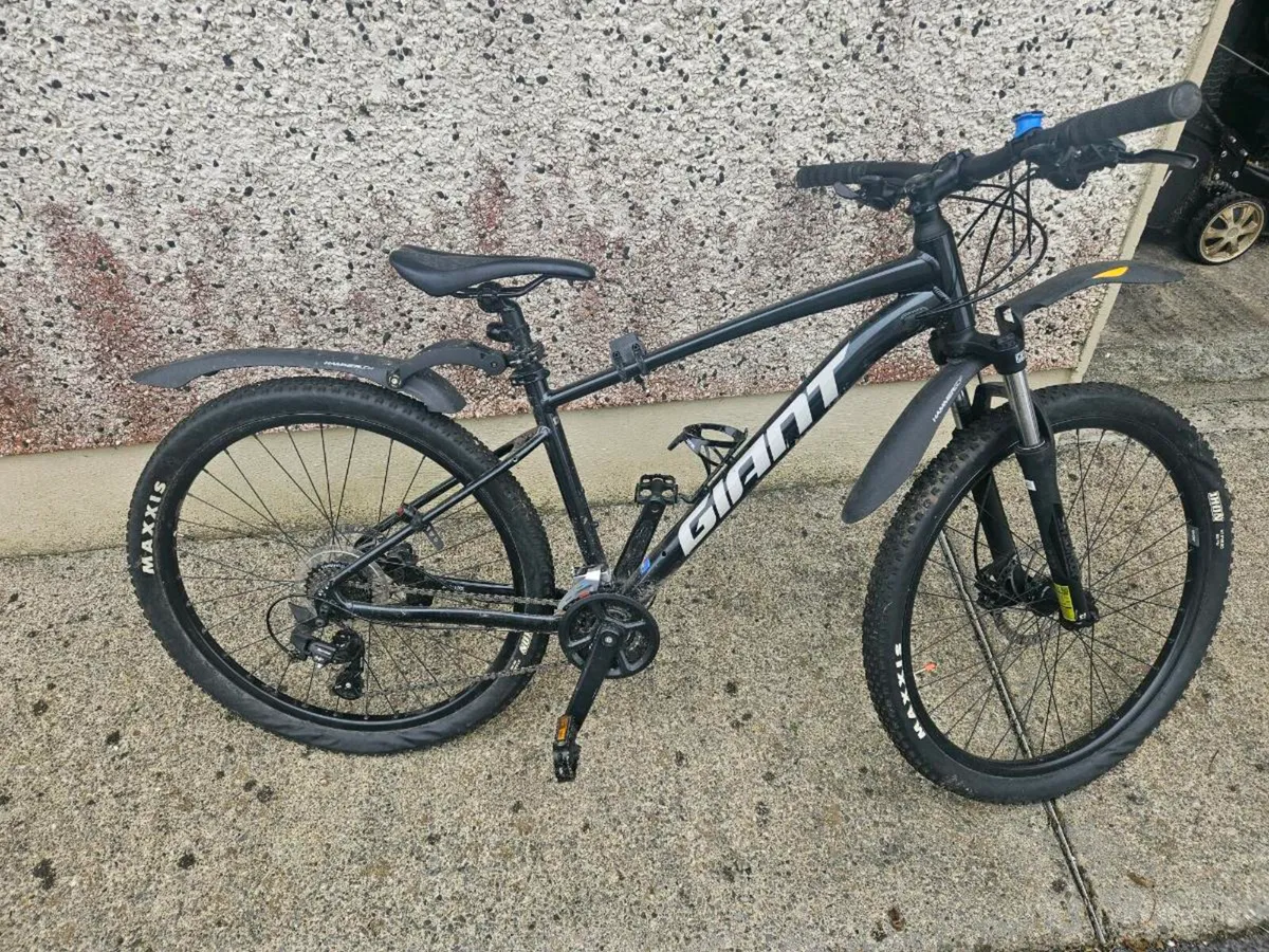 Giant talon - Image 1