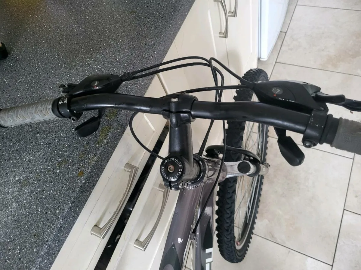 Bike - Image 2