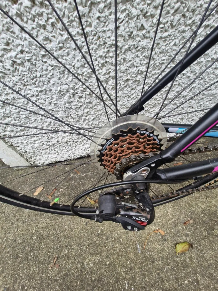 Bicycle - Image 4