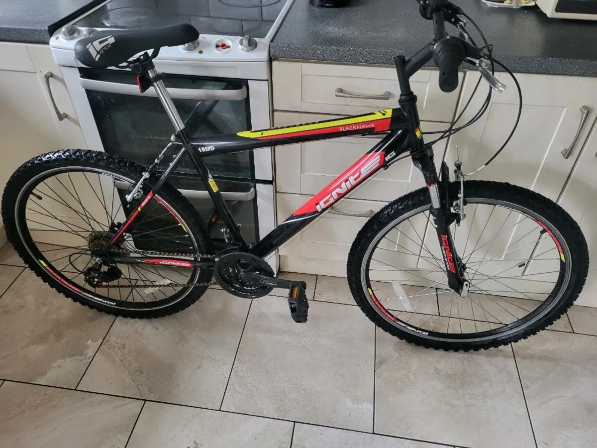 Bike - Image 3