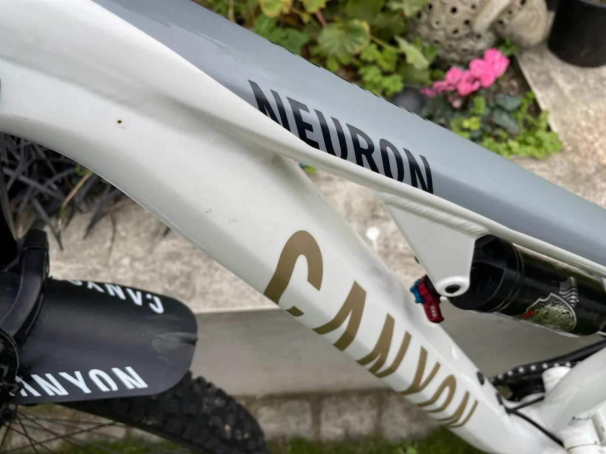 Kids Canyon Neuron - Image 2