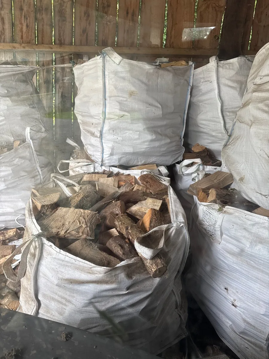Firewood - Image 2