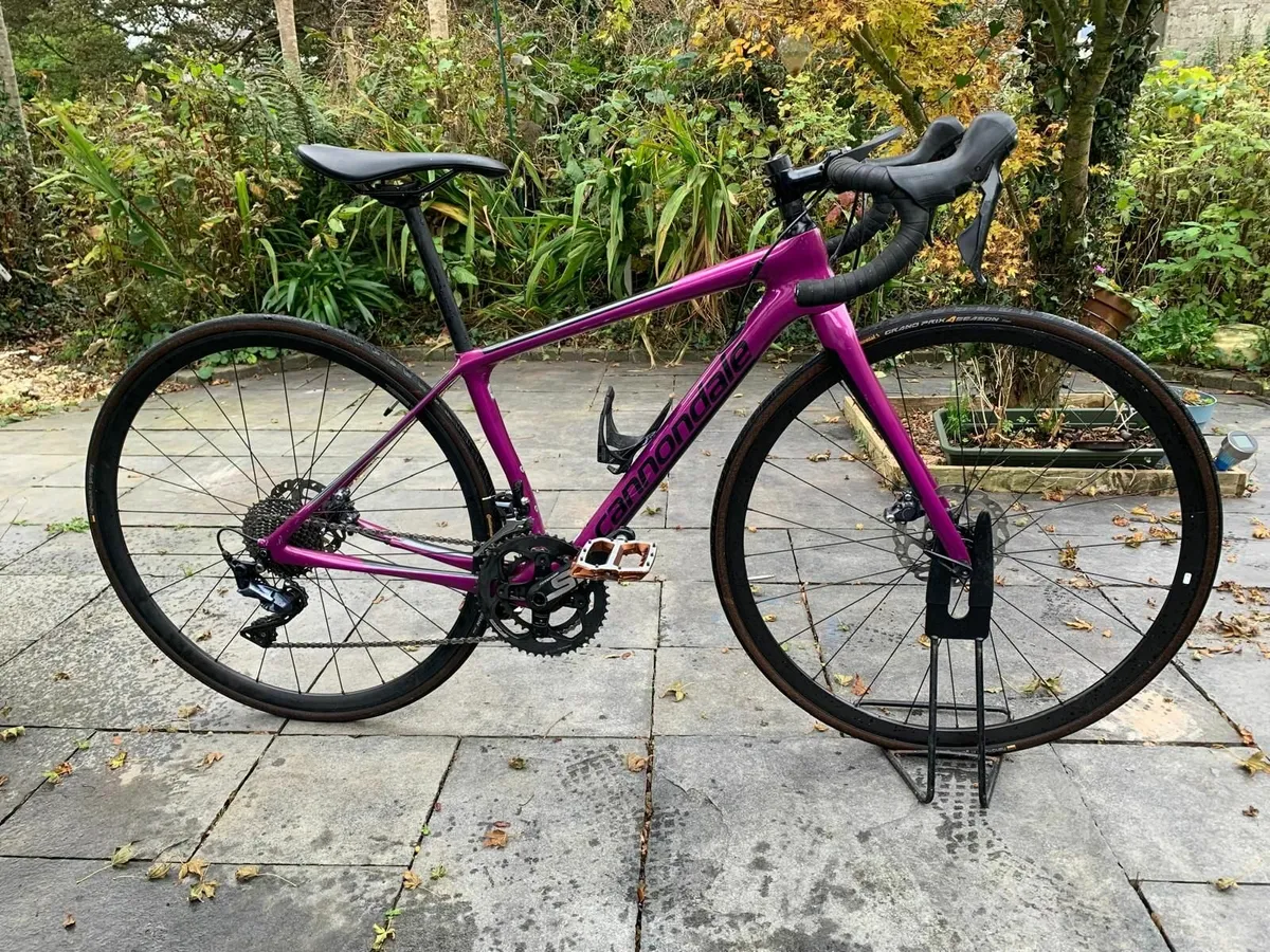Cannondale Synapse (44cm) Carbon frame and forks - Image 1