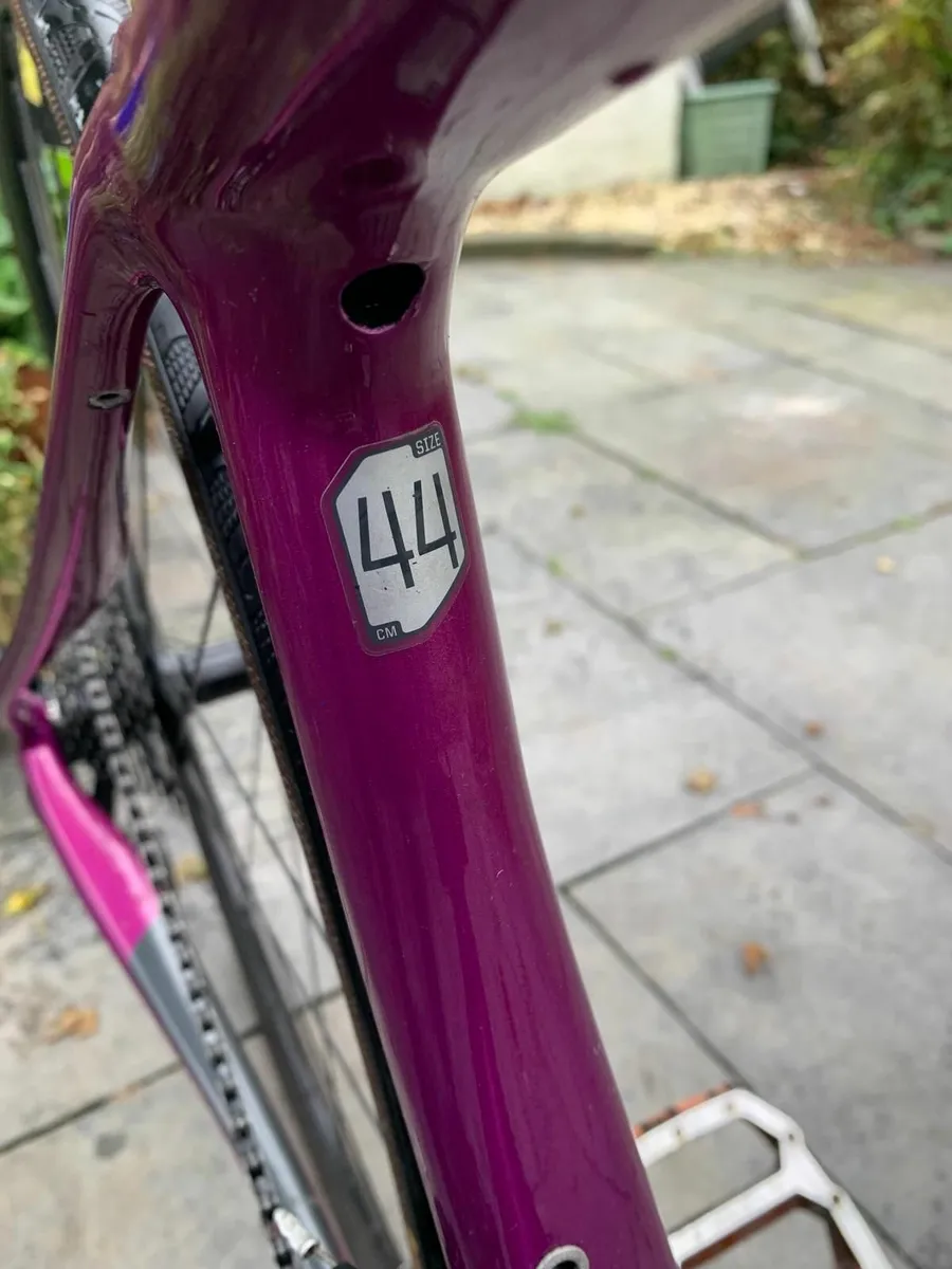 Cannondale Synapse (44cm) Carbon frame and forks - Image 2
