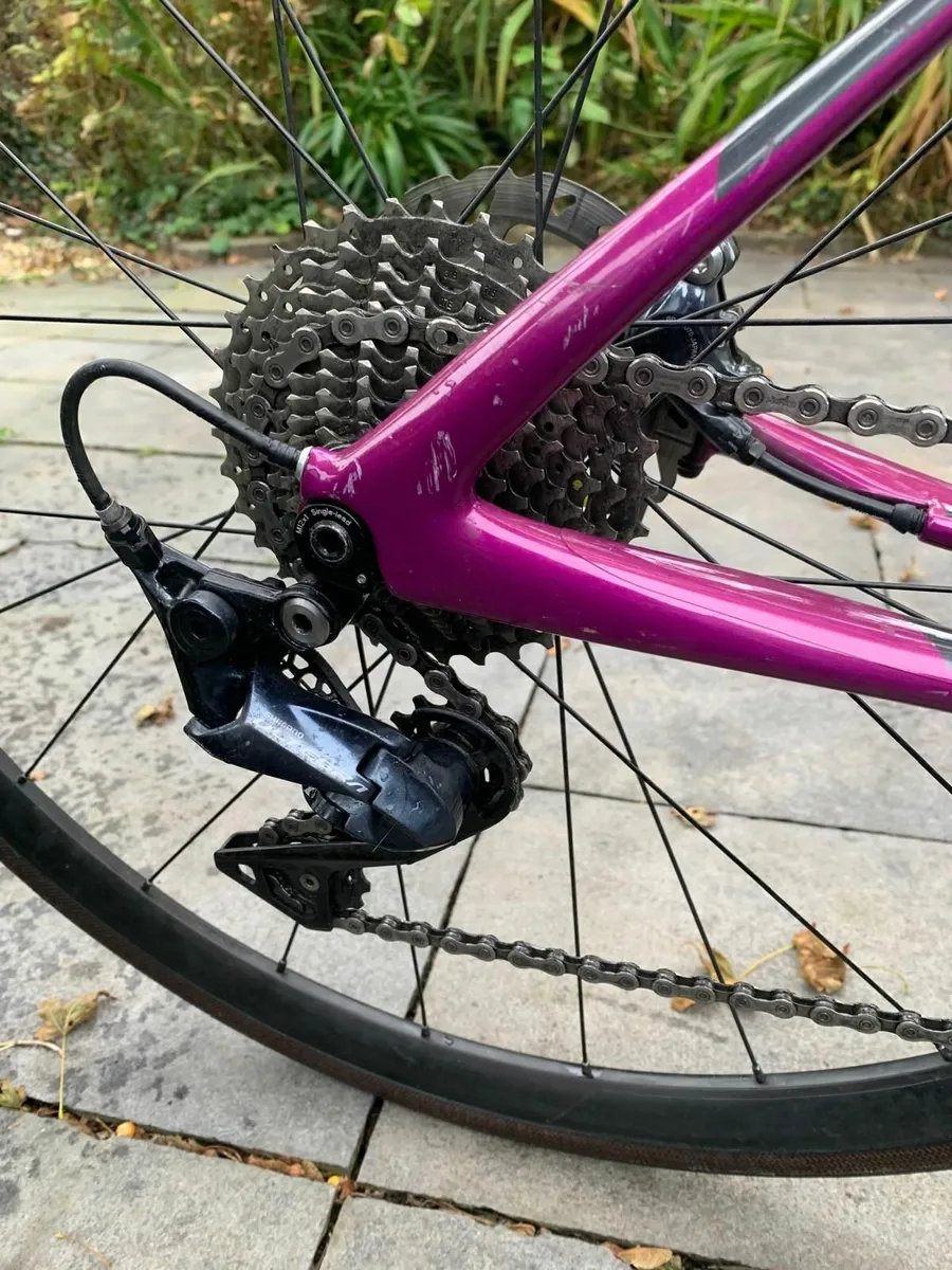 Cannondale Synapse (44cm) Carbon frame and forks - Image 4