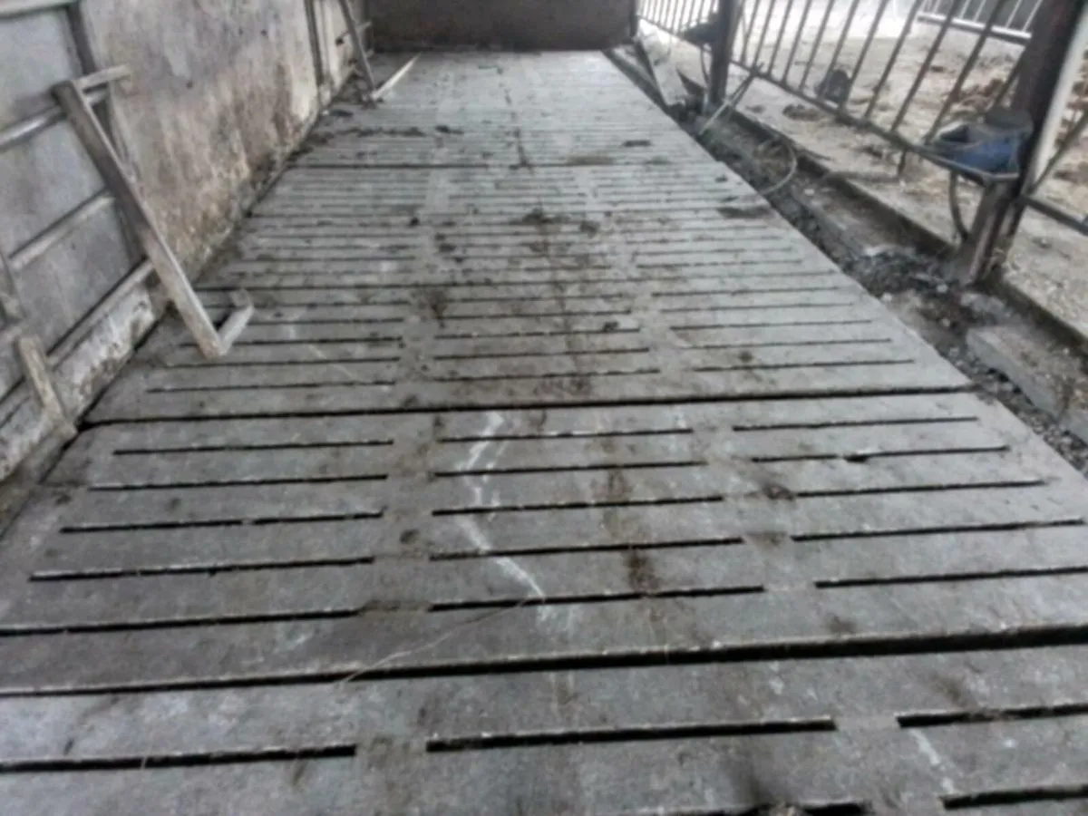 Cattle slats - Image 2