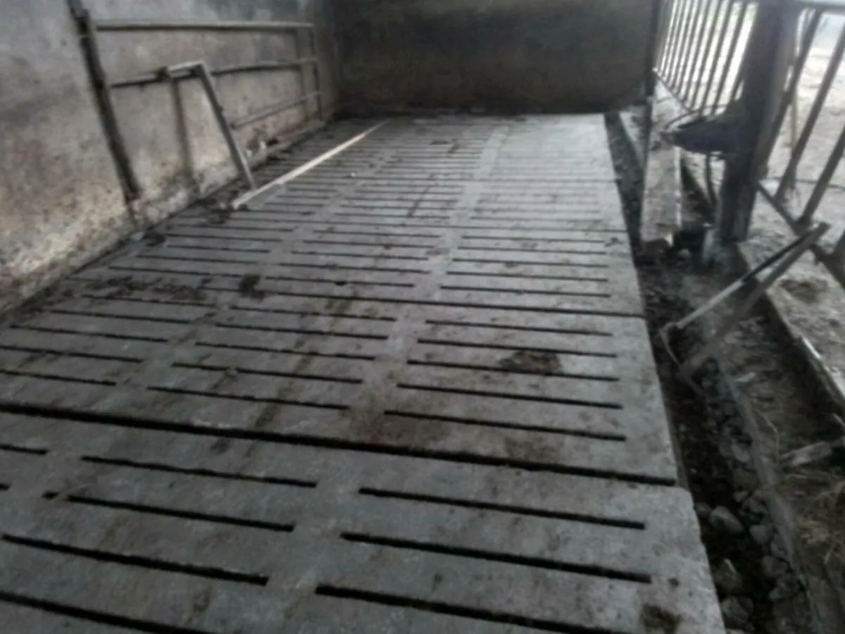 Cattle slats - Image 3