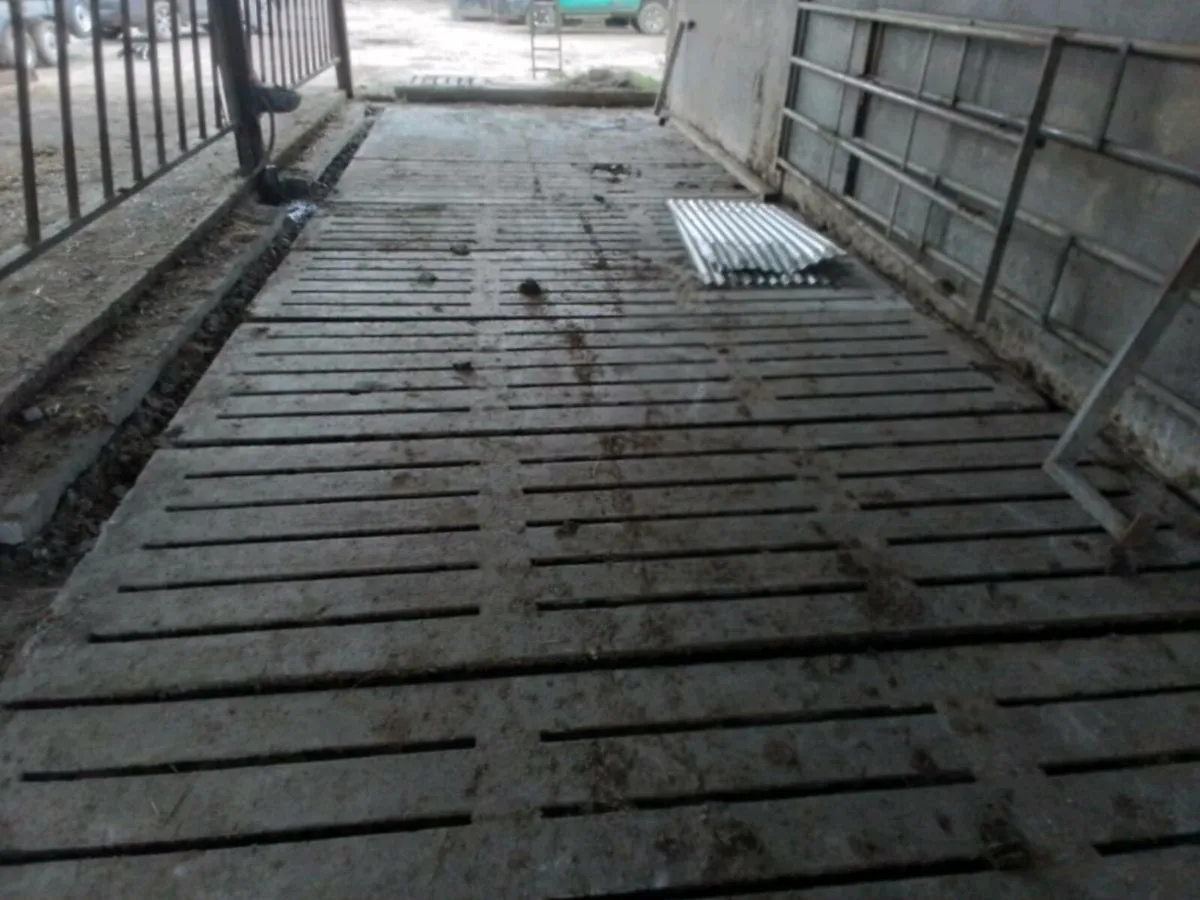 Cattle slats - Image 4