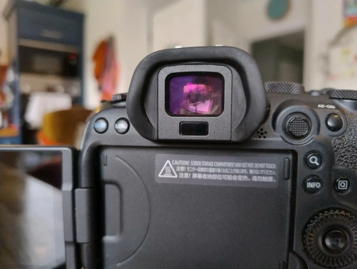 Canon R6 & Accessories - Image 2