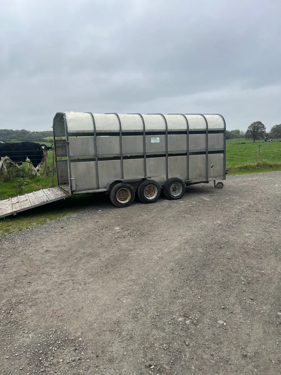 14ft nugent - Image 1