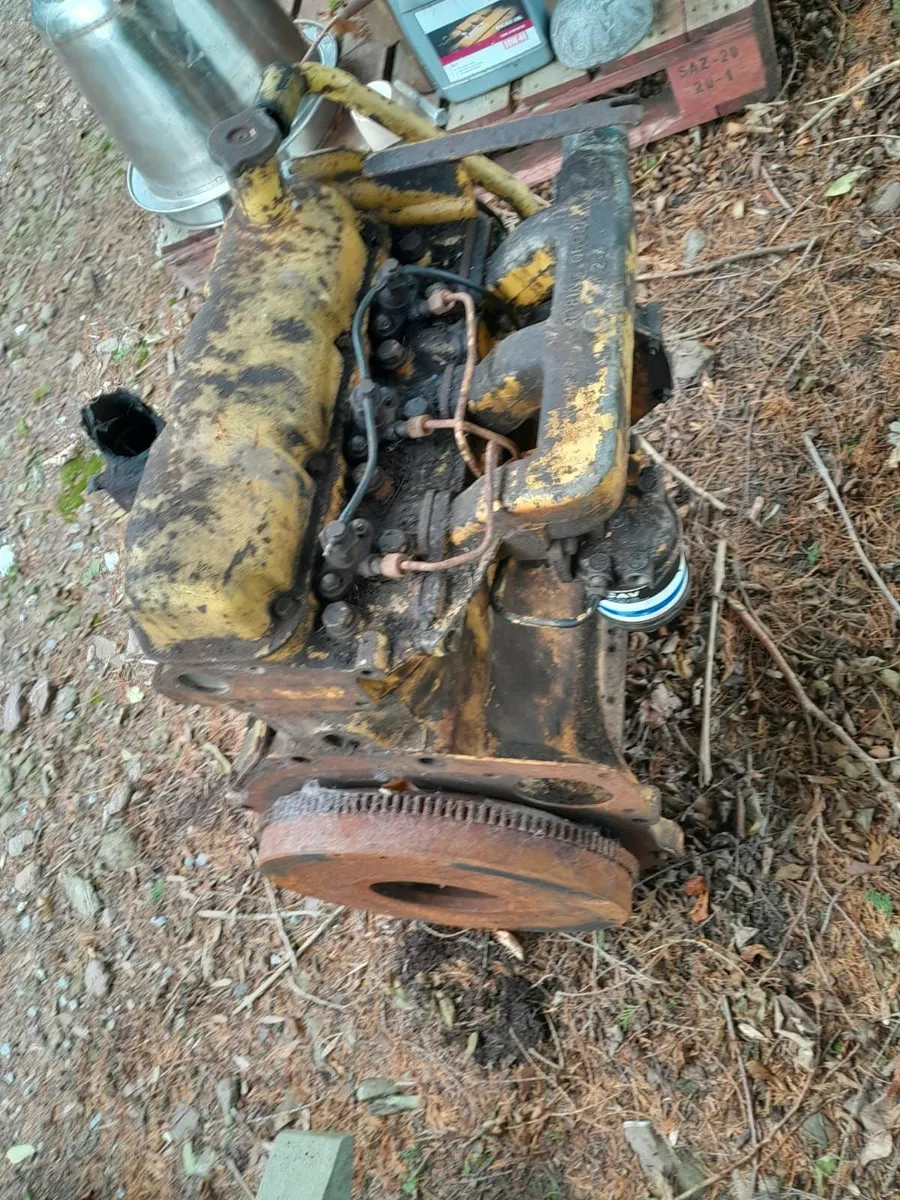 Ford 4600 Engine & Massey Ferguson Grabber - Image 2