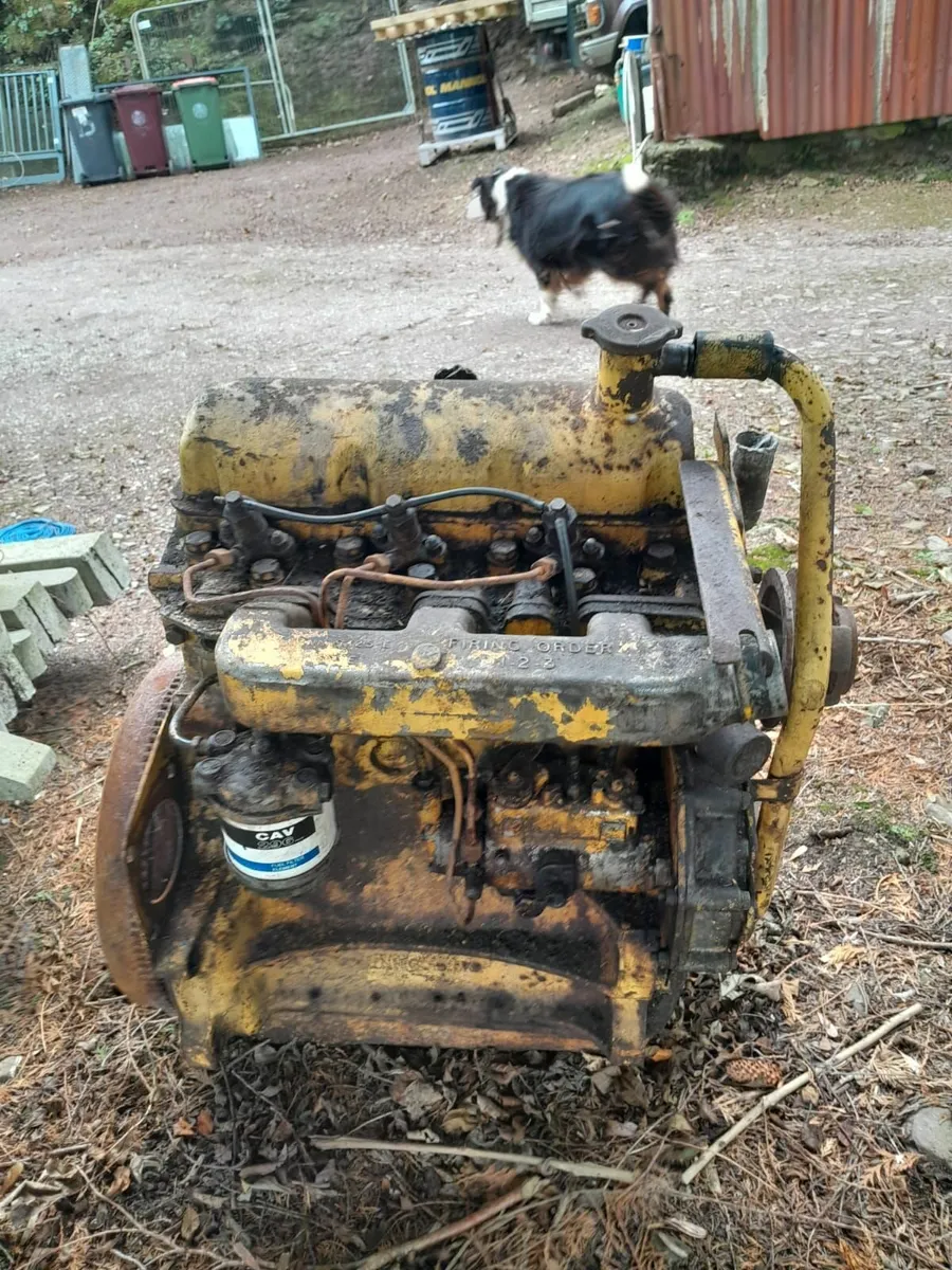 Ford 4600 Engine & Massey Ferguson Grabber - Image 1