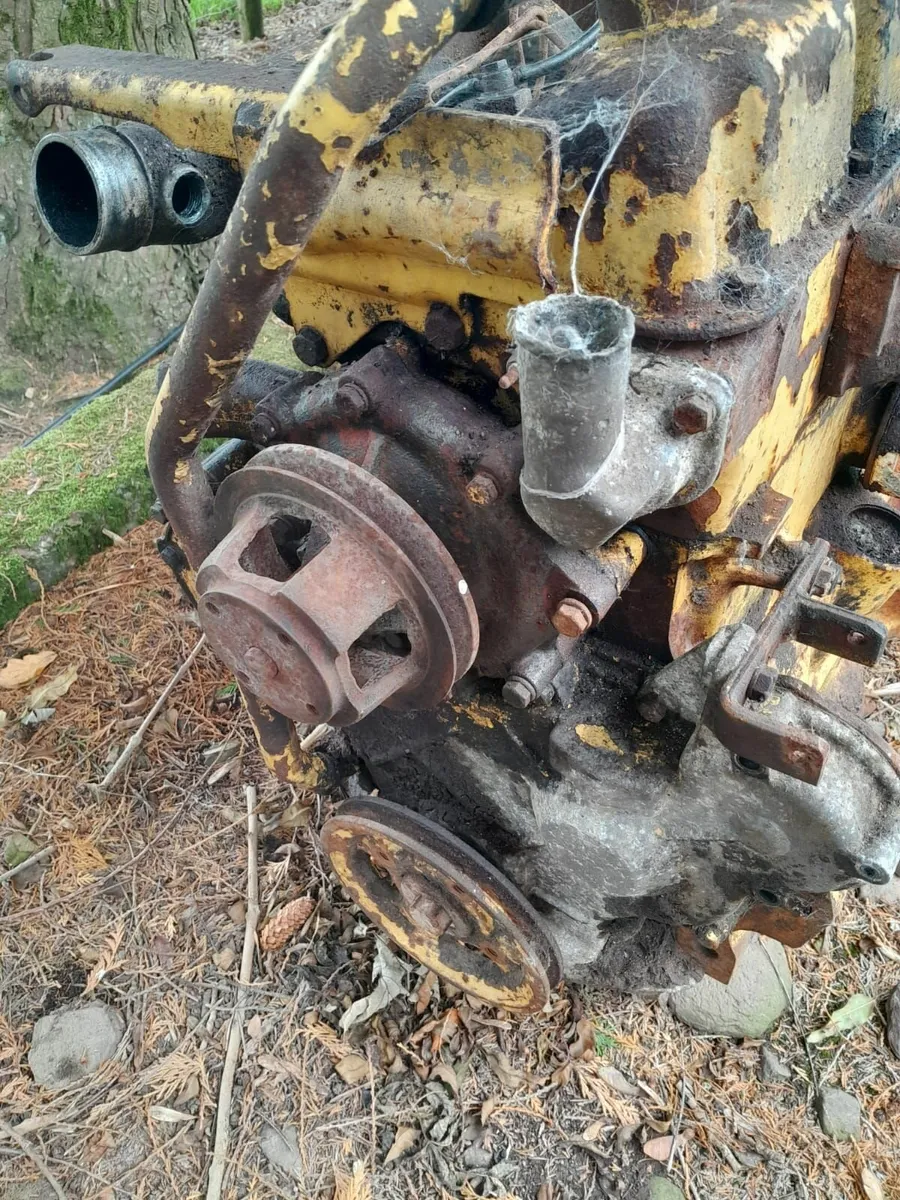 Ford 4600 Engine & Massey Ferguson Grabber - Image 3