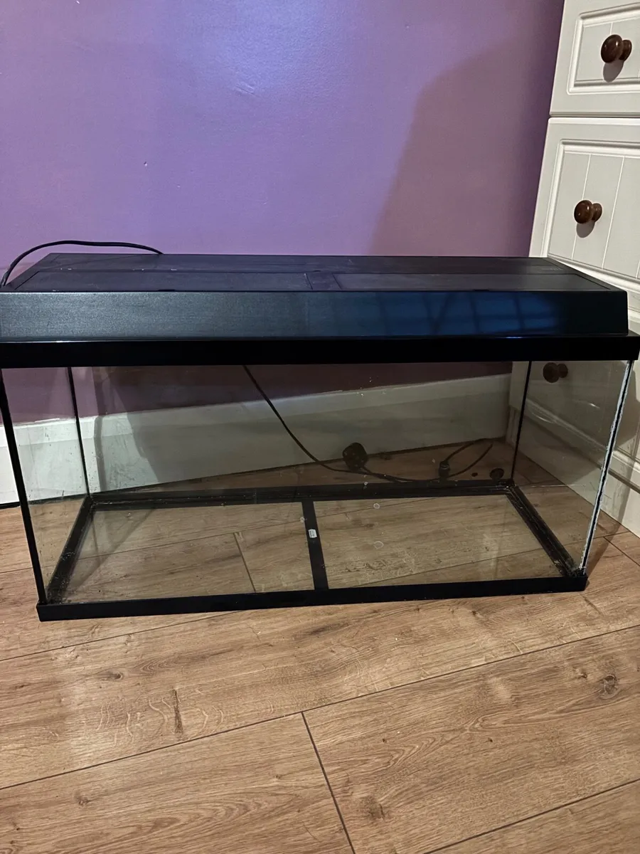 Fishtank - Image 1