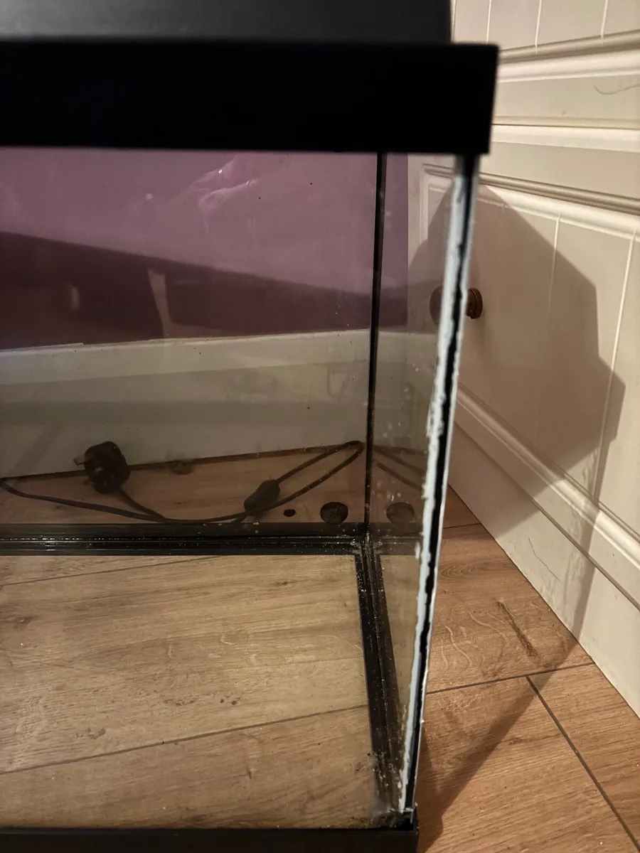 Fishtank - Image 2