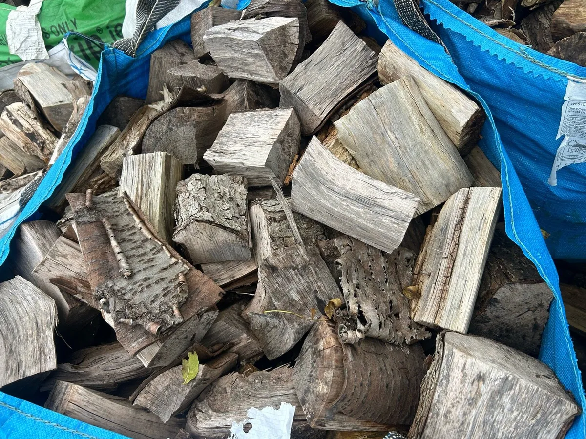 Firewood - Image 2