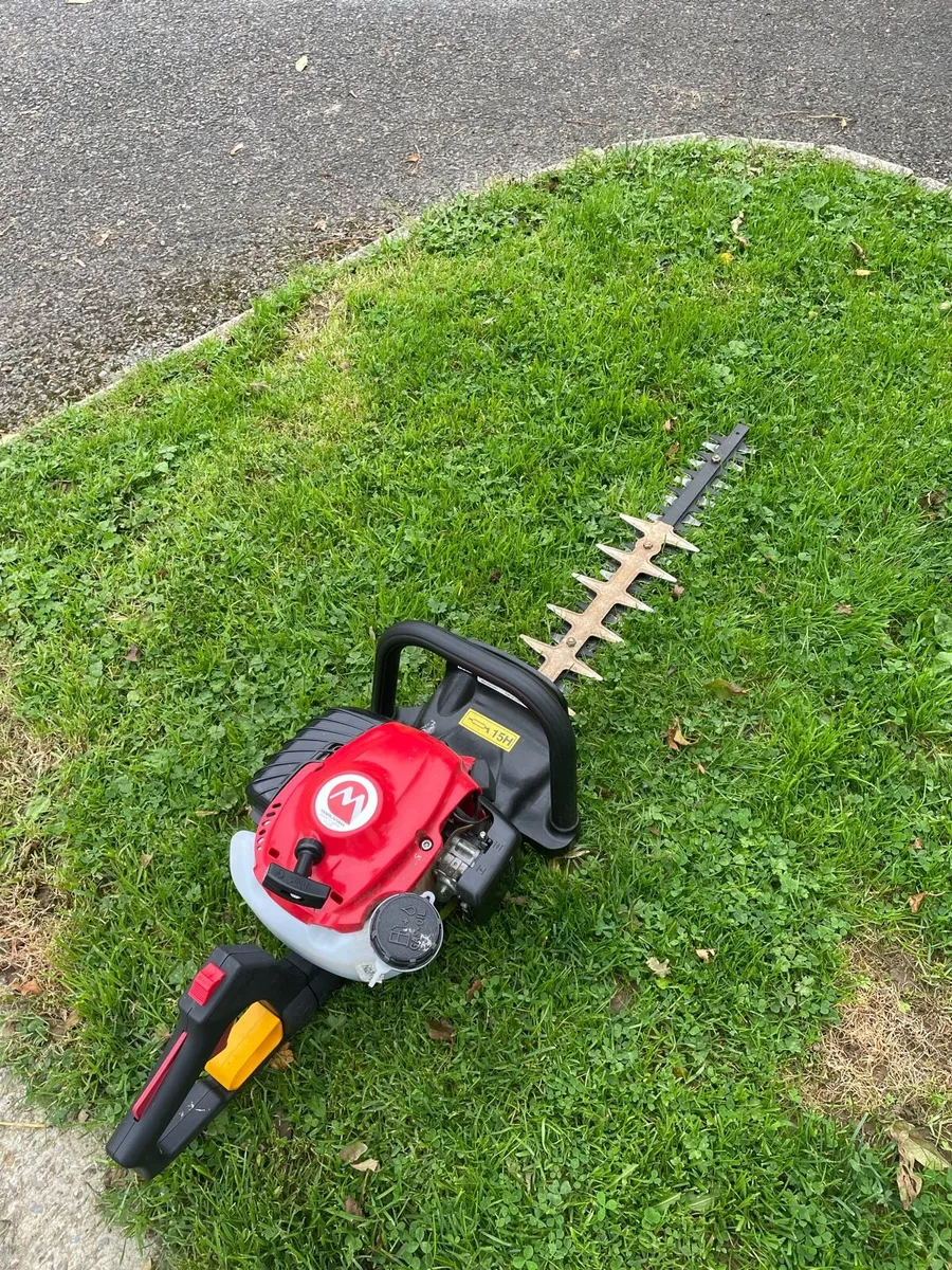 Hedge strimmer - Image 1