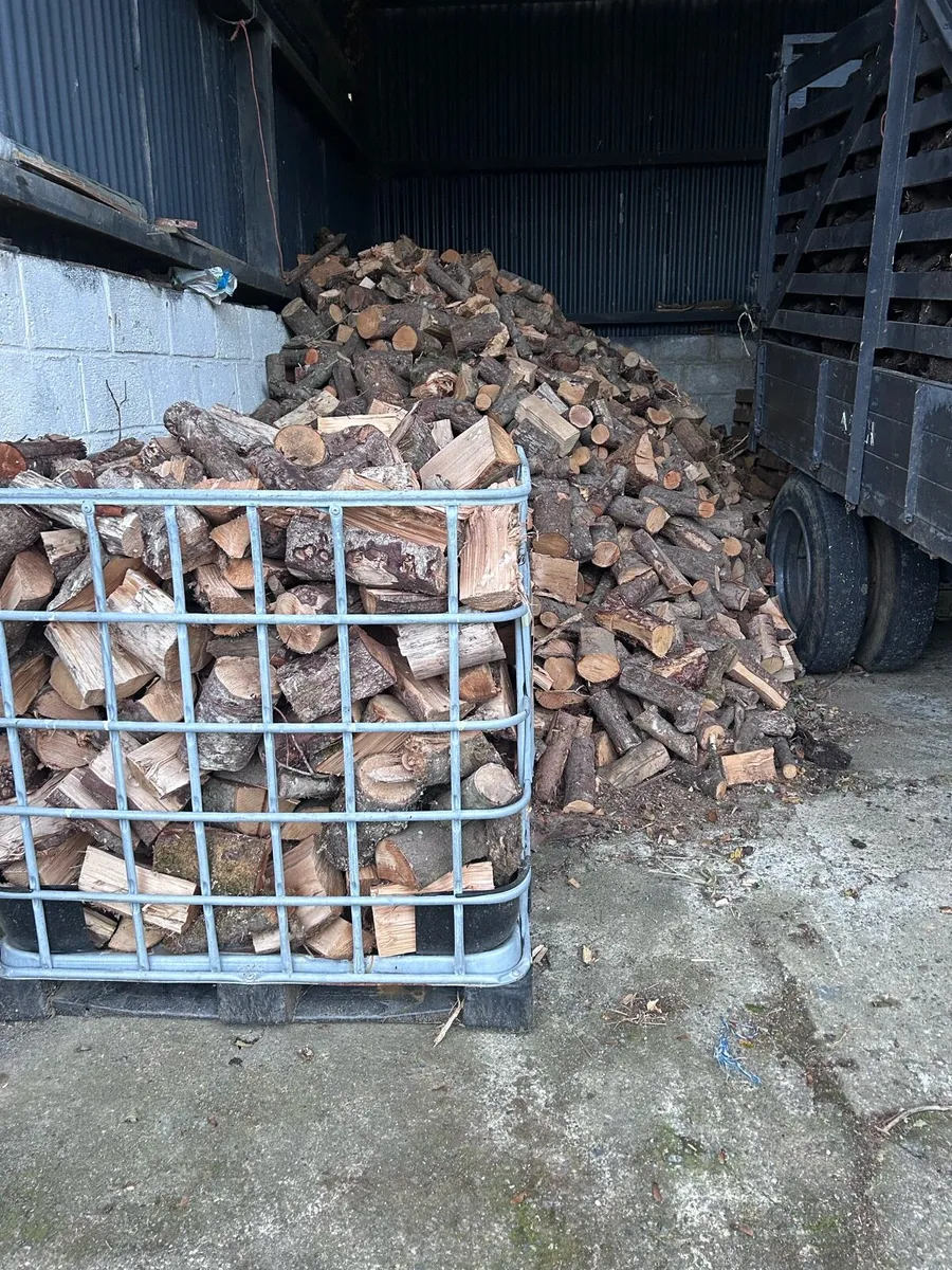 Firewood - Image 1