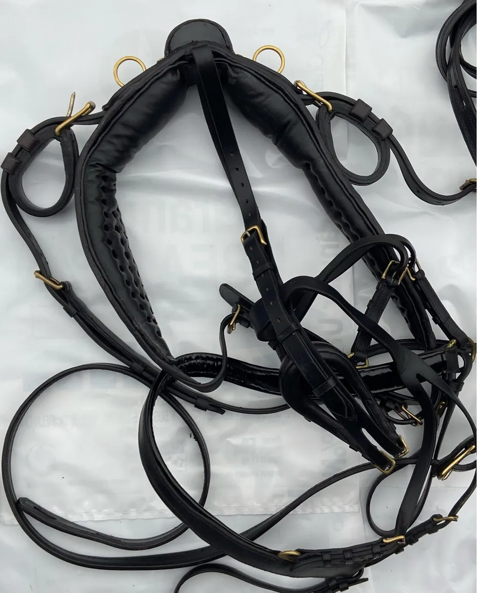 Driving Harness - Image 2