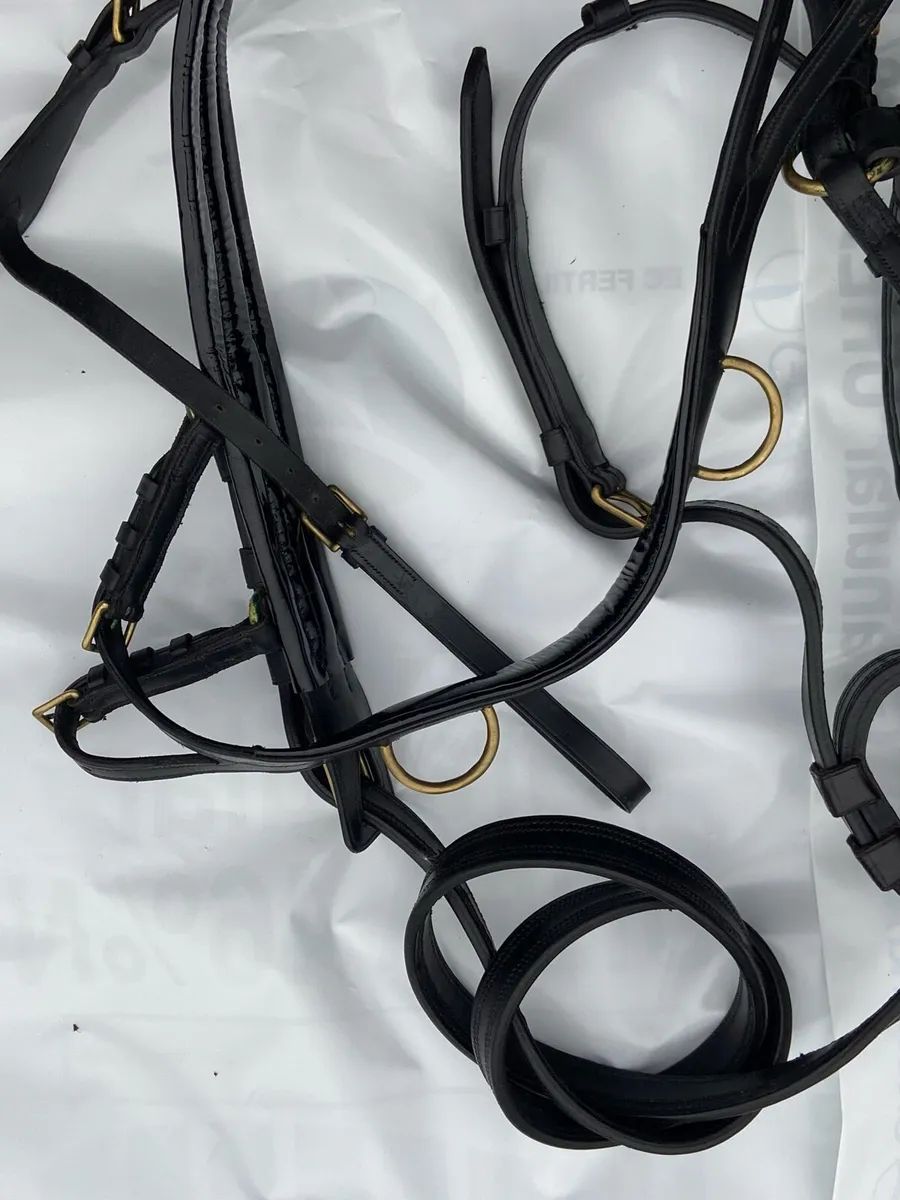 Driving Harness - Image 3