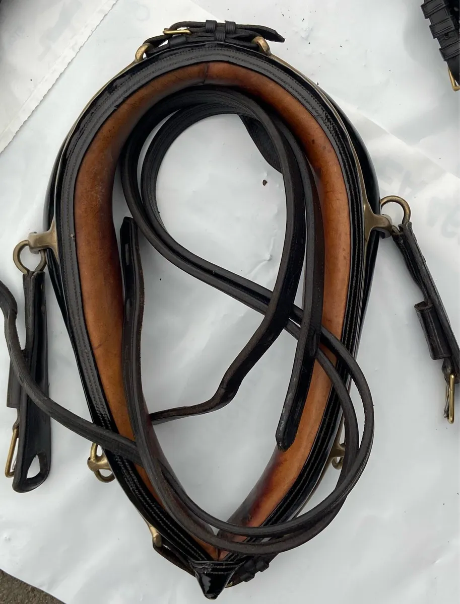 Driving Harness - Image 4