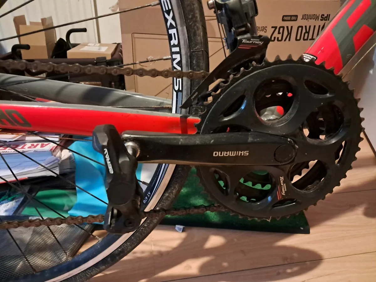 Ladies Adult bike - Image 1