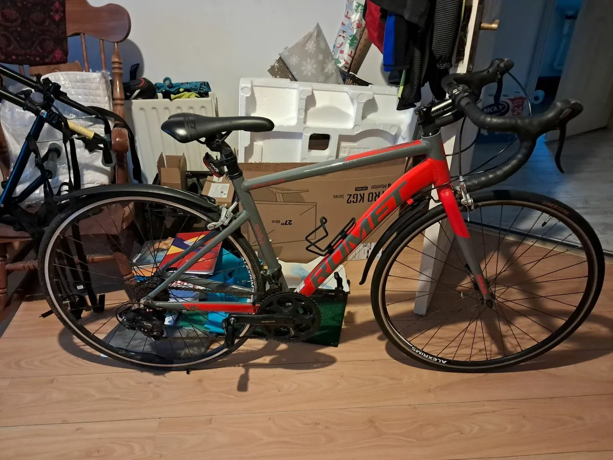 Ladies Adult bike - Image 3